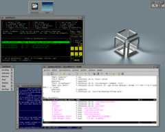 [Captura de 5Dwm]