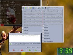 [Captura de W9wm]