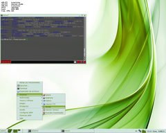 [Captura de JWM]