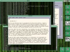 [Captura de Olwm]