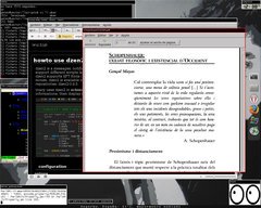 [Captura de PerlWM]