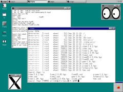 [Captura de Qvwm]