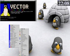 [Captura de Scwm]