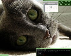 [Captura de SedWM]